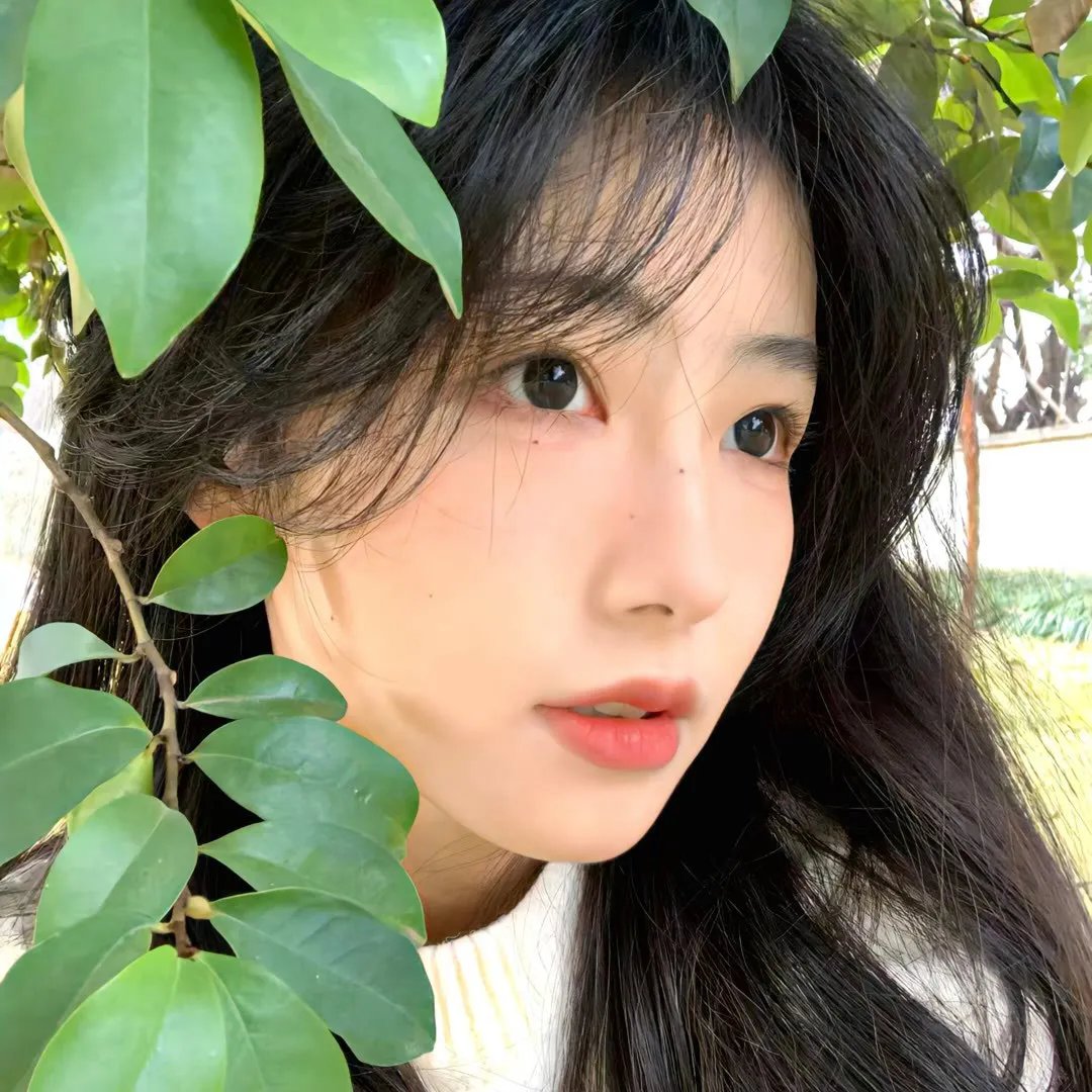 我们朝圣去吧