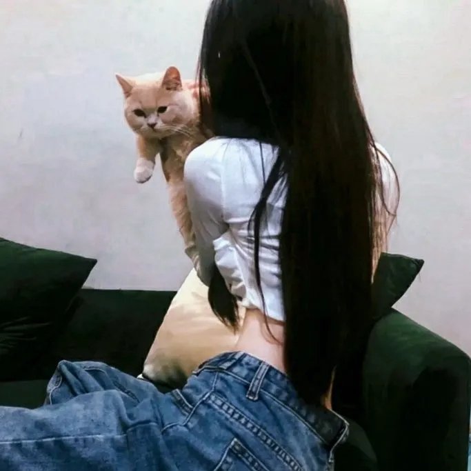 卡牌迷宫