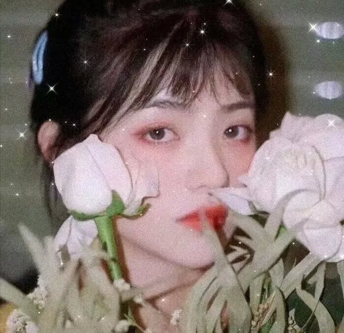 月亮与蛋糕